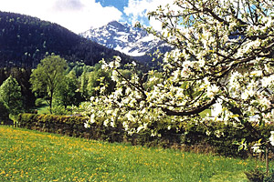 Ferienwohungen Schierwater - Oberau bei Berchtesgaden